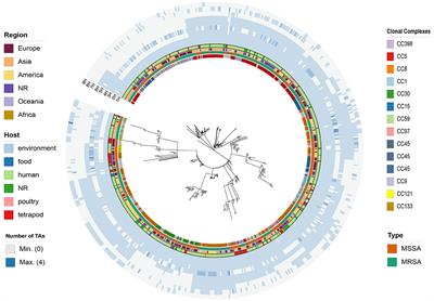 Genome mining reveals the prevalence and extensive diversity of toxin–antitoxin systems in Staphylococcus aureus